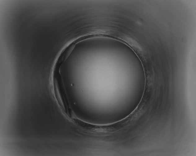 X0000100750792200806261543