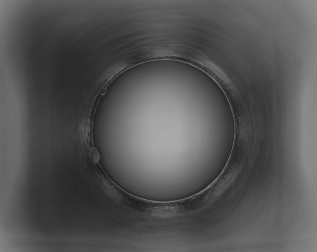 X0000100750793200806261543