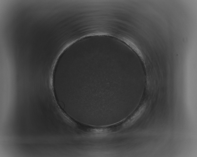 X0000100750797200806261543