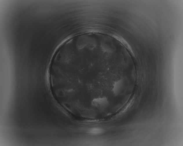 X0000100750798200806261543