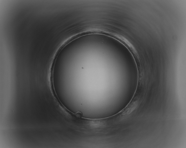 X0000100750799200806261543