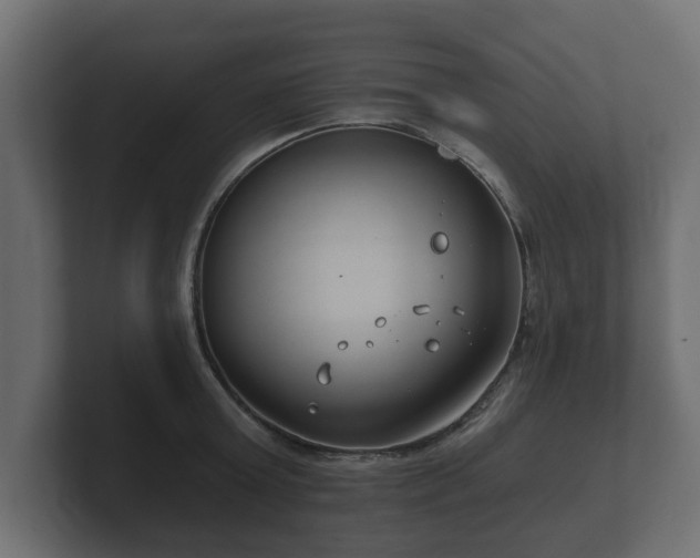 X0000100750803200806261542