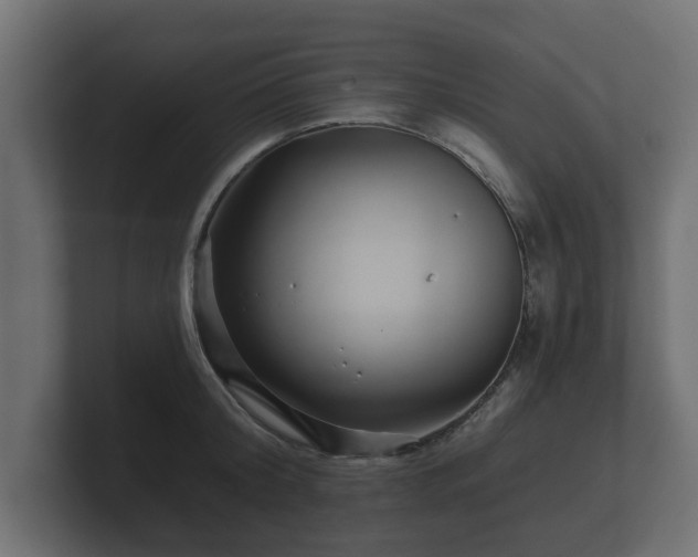 X0000100750804200806261542