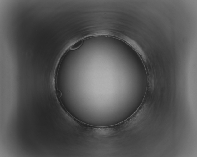 X0000100750805200806261542