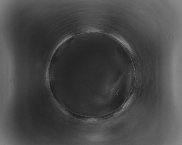 X0000100750806200806261542