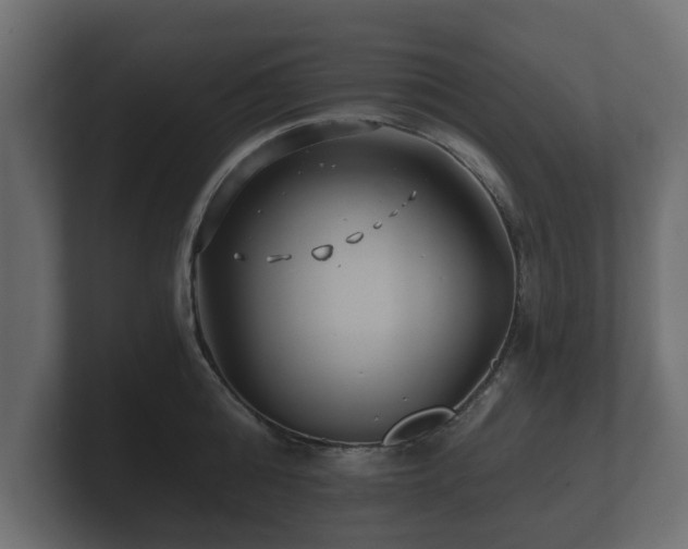 X0000100750808200806261542