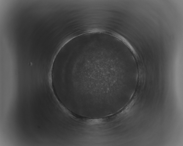 X0000100750810200806261542