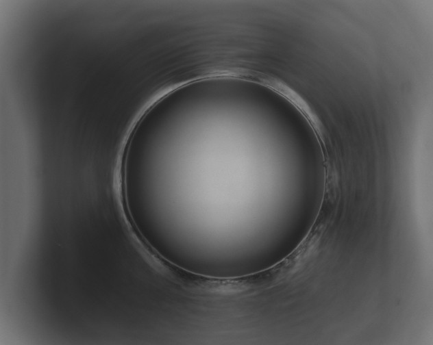 X0000100750811200806261542