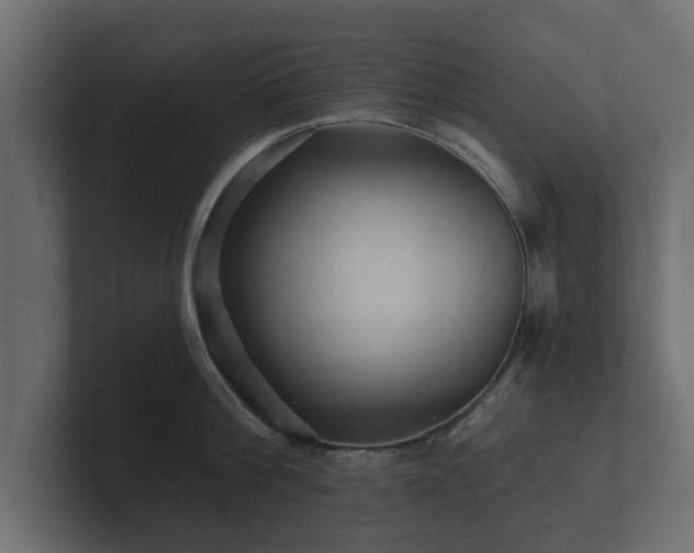 X0000100750812200806261542