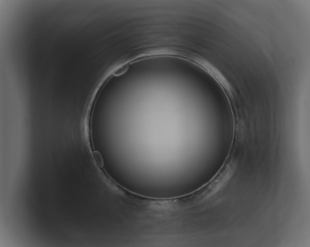 X0000100750813200806261542