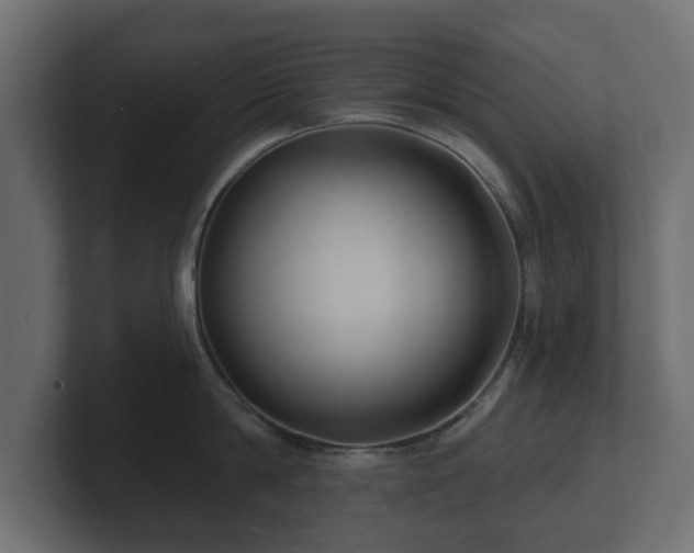 X0000100750814200806261542