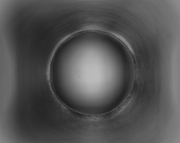 X0000100750815200806261542