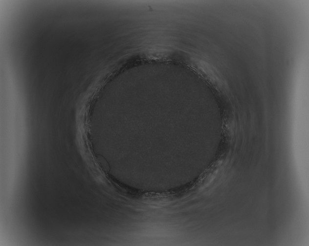 X0000100750817200806261542