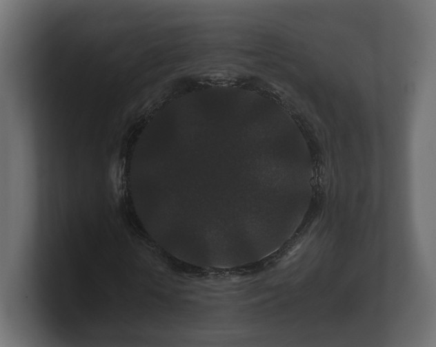 X0000100750818200806261542