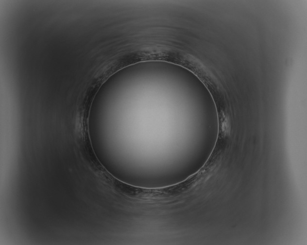 X0000100750819200806261542