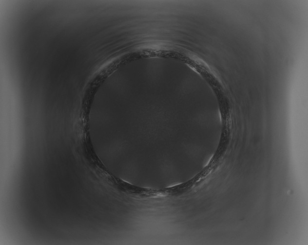 X0000100750822200806261542