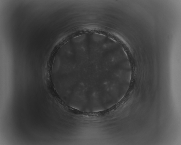 X0000100750823200806261542