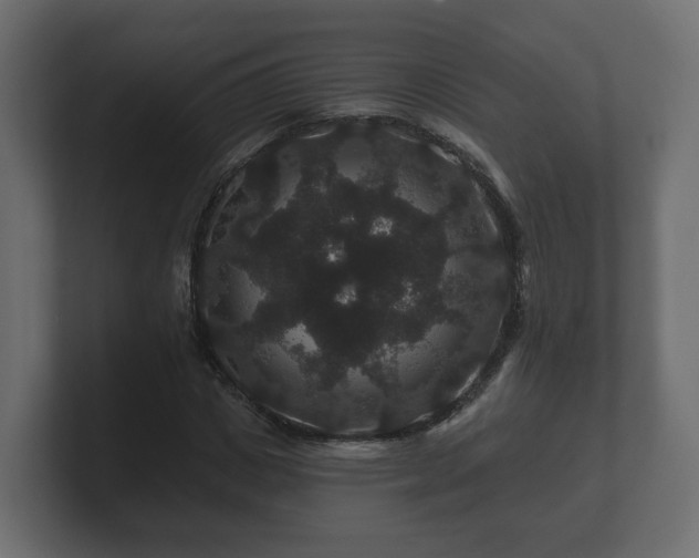 X0000100750825200806261542