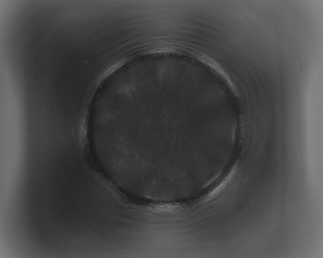 X0000100750826200806261542