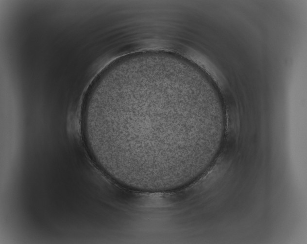 X0000100750828200806261542