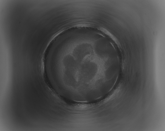 X0000100750829200806261542