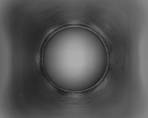 X0000100750831200806261542