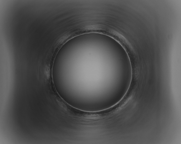 X0000100750833200806261542