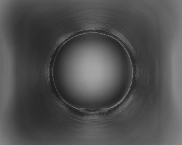 X0000100750834200806261542