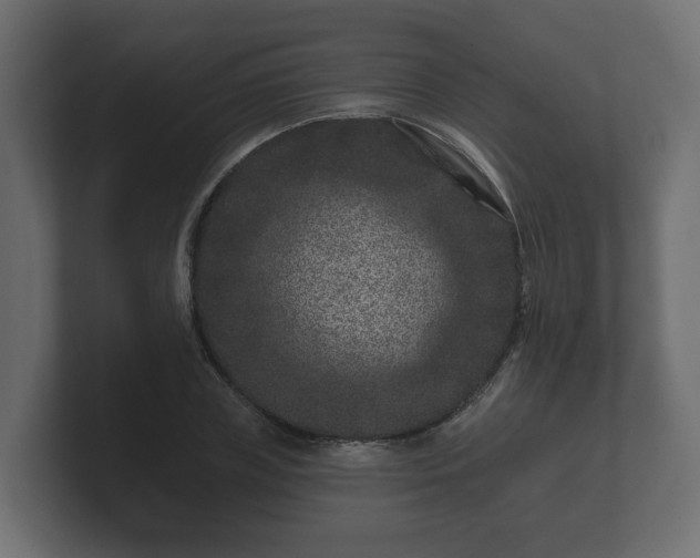 X0000100750835200806261542