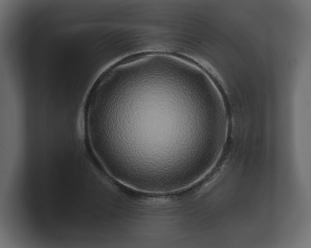 X0000100750838200806261542