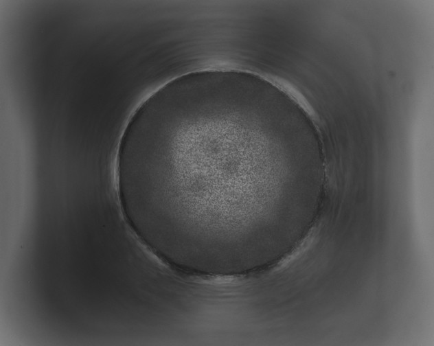 X0000100750839200806261542