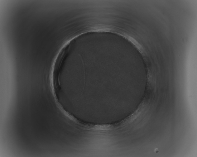 X0000100750840200806261542