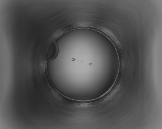 X0000100750841200806261542