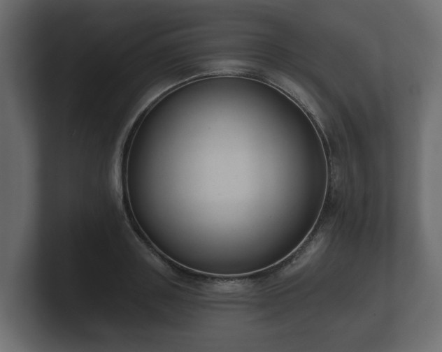 X0000100750843200806261542