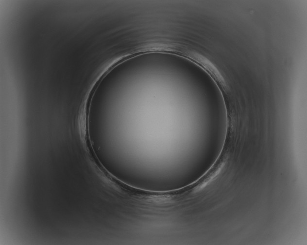 X0000100750844200806261542