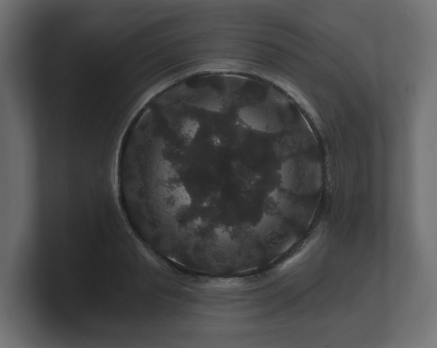 X0000100750845200806261542