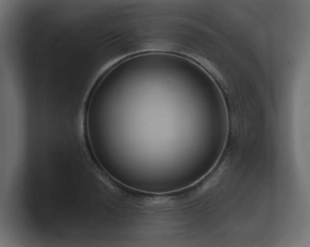 X0000100750846200806261542