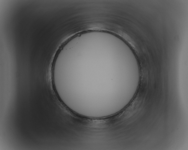 X0000100750848200806261542