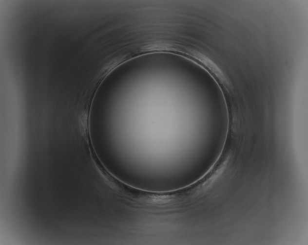 X0000100750849200806261542