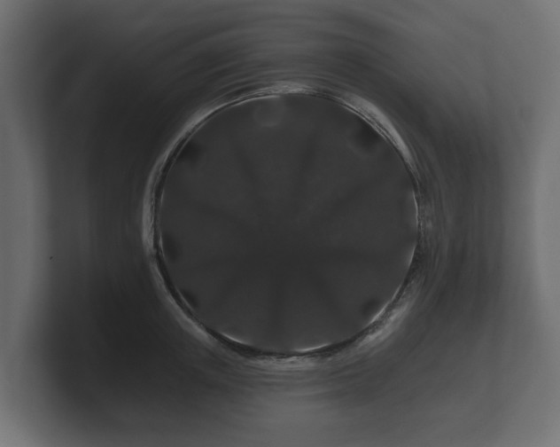 X0000100750851200806261542