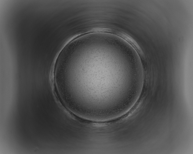 X0000100750852200806261542