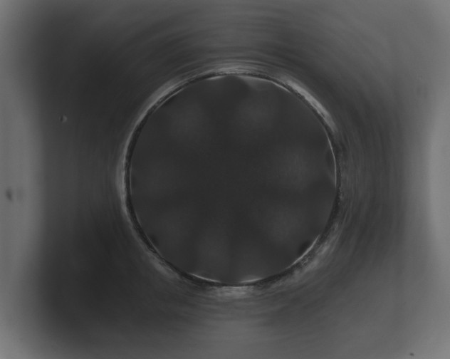 X0000100750853200806261542