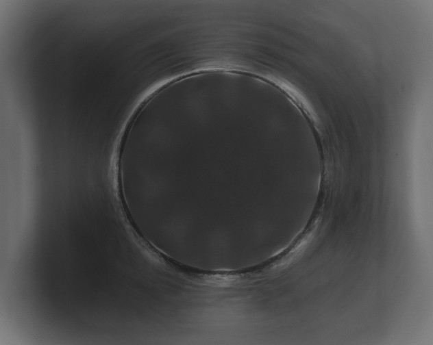 X0000100750854200806261542