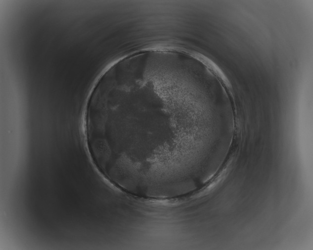 X0000100750855200806261542