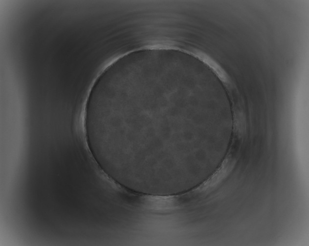 X0000100750856200806261542