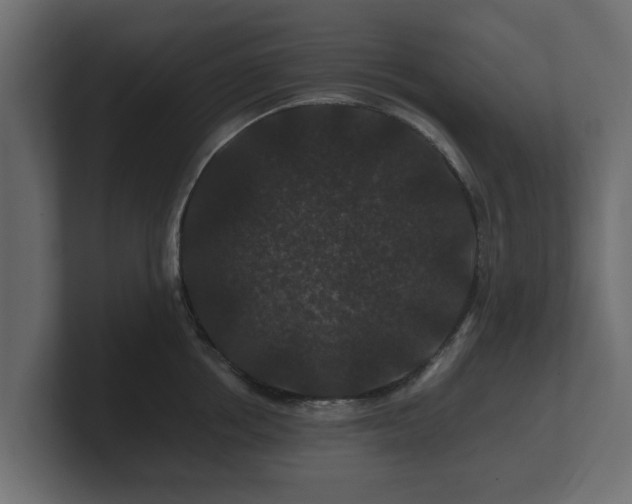 X0000100750858200806261542