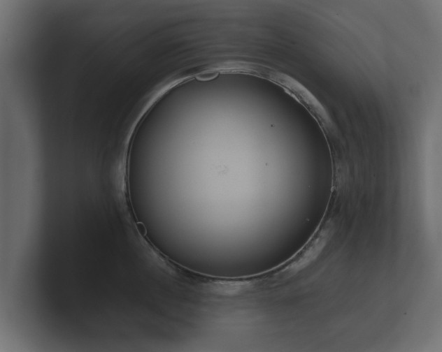 X0000100750860200806261542