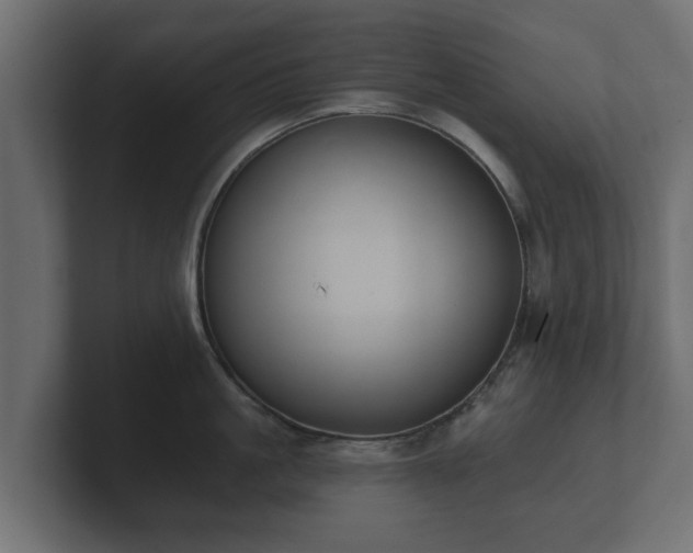 X0000100750861200806261542