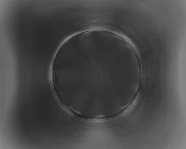 X0000100750862200806261542