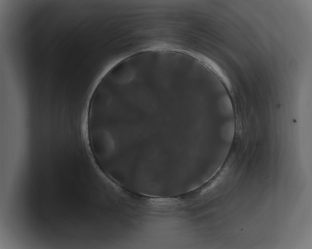 X0000100750863200806261542